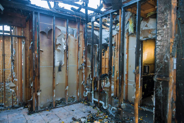 Professional Fire Damage Removal technician working in Terryville, NY
